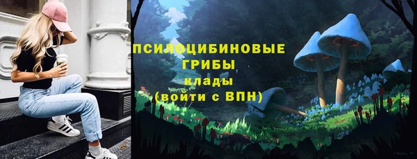 мдпв Семикаракорск