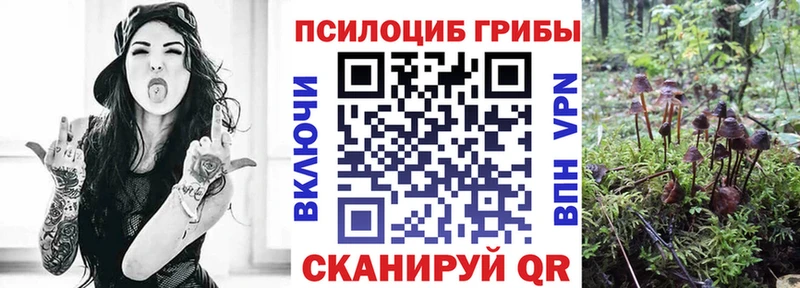 Псилоцибиновые грибы мухоморы  Спасск 